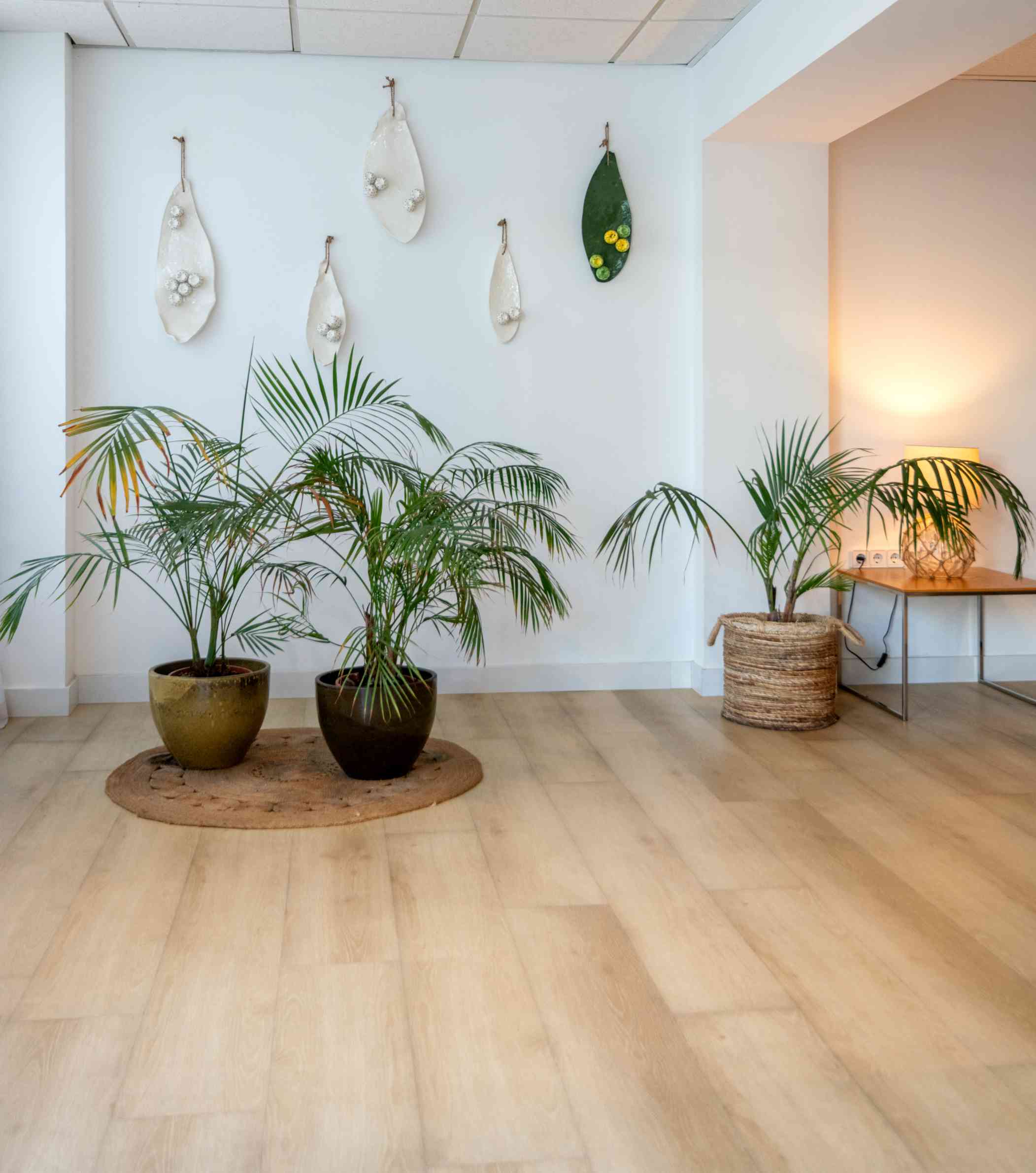 hotel foners Palma