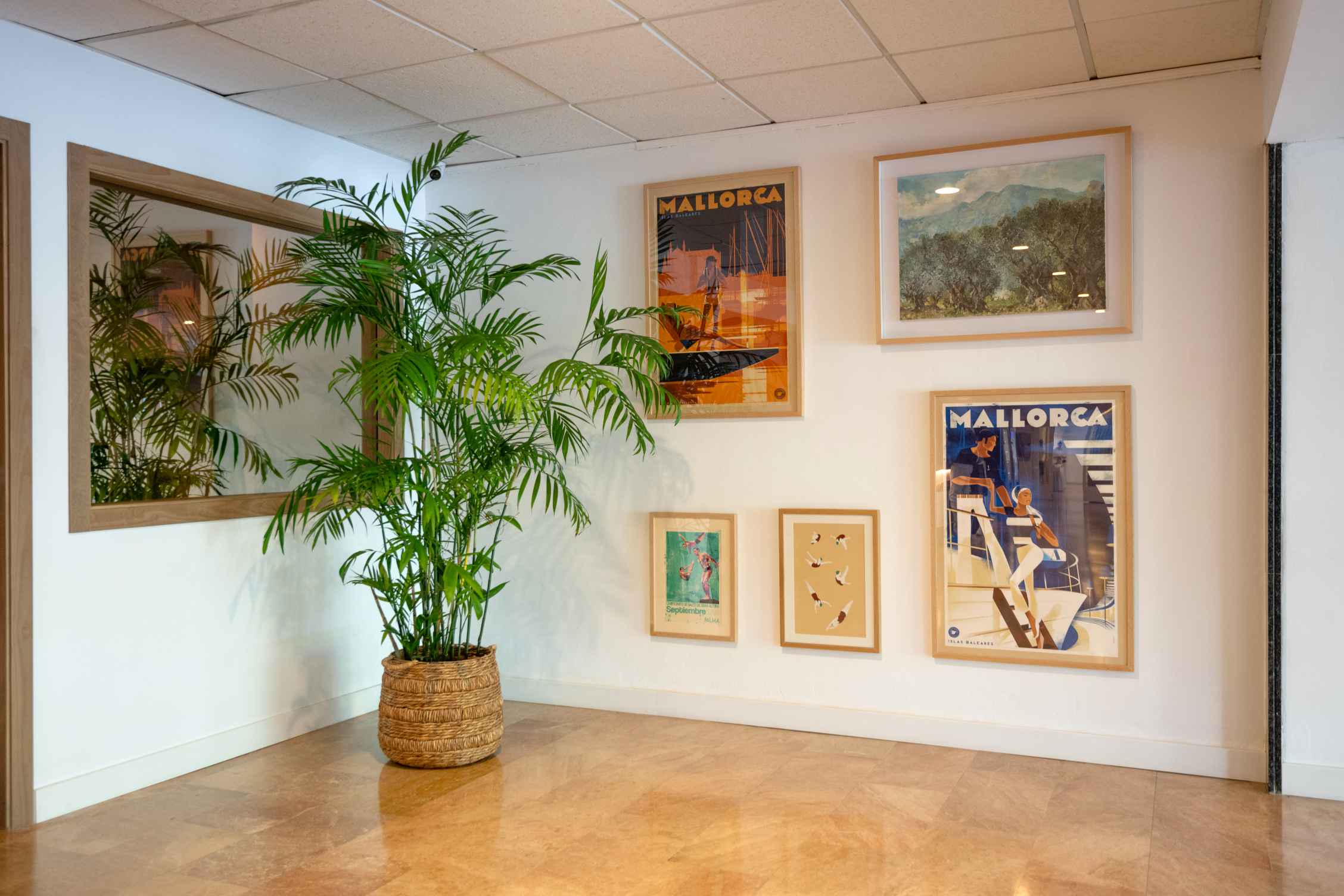 hotel foners Palma